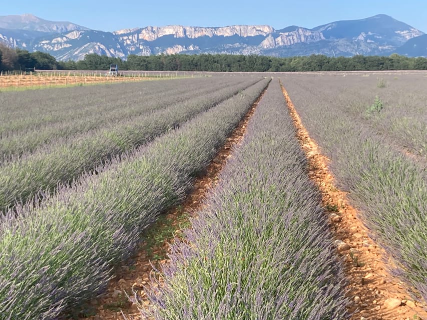 Bespoke Luxury Sightseeing Experiences - Charming Tour: Antibes, St Paul de Vence, Grasse, and Cannes