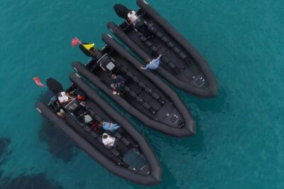 Boat Excursion - Nice/St Jean Cap Ferrat 1H30 - Saint-Jean Cap Ferrat by boat: coves, pines, and villa views