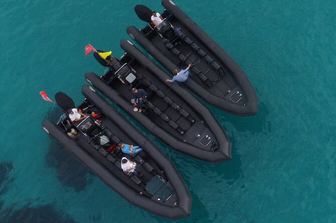 Boat Excursion - Nice/St Jean Cap Ferrat 1H30 - Saint-Jean Cap Ferrat by boat: coves, pines, and villa views