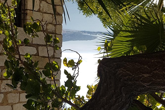 CANNES Shore Excursion: French Riviera Highlights with your Guide - How the Guide Makes This Feel Custom (Yvonne Effect)
