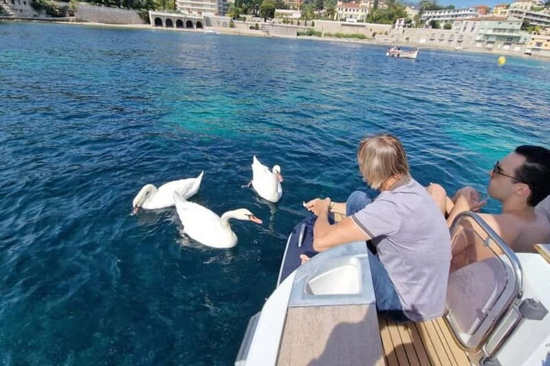 Cap Ferrat, Nice, Villefranche: Premium Cruise, Swimming - Stop 1 swim: les Fossettes and a very local-feeling cove