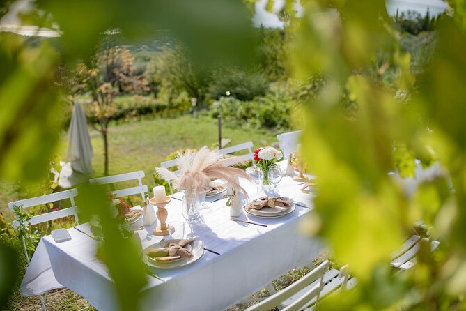 Dinner in the vineyard French Riviera - From glass to plate to music: how the evening flows