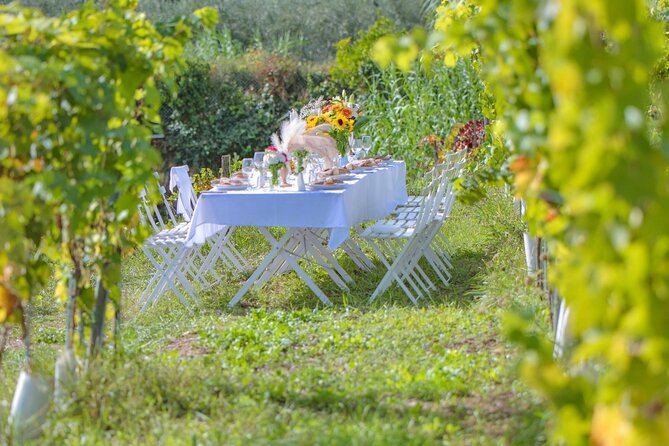 Dinner in the vineyard French Riviera - Photography included: yes, you should use it as intended