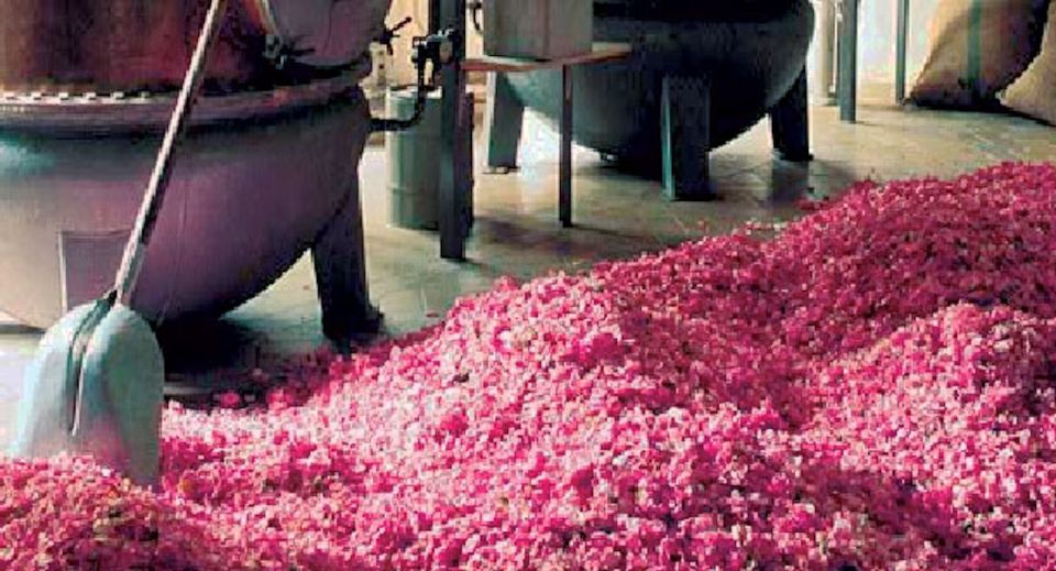 Flavor & Taste of Provence - Fragonard in Grasse: perfume factory basics and what the stop really is