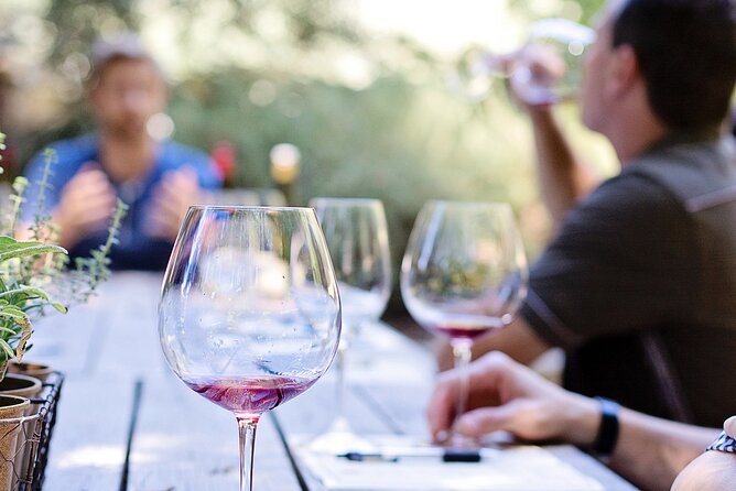 Food & Wine Lovers Tour of Nice Local Markets and Best Shops - From the market to the Opera and Rossetti Square: a food walk with breaks