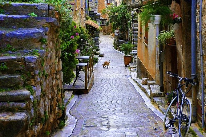 French Riviera & Medieval villages Full Day Private Tour - A full-day Riviera hit: why this route makes sense