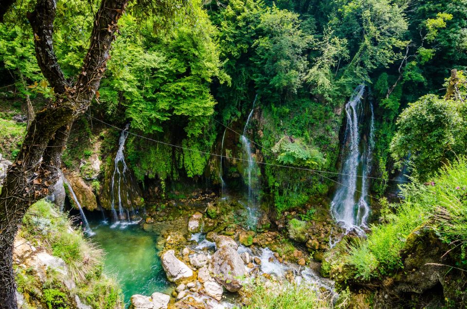 From Nice: Flower Fields & Saint Cassien Lake Full-Day Trip - Key things that make this day work