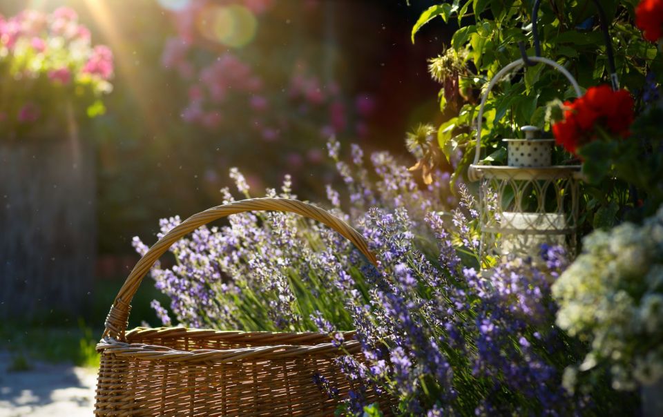 From Nice: Flower Fields & Saint Cassien Lake Full-Day Trip - Lavanderaie de Marie: scents, herbs, and sea-and-mountain views