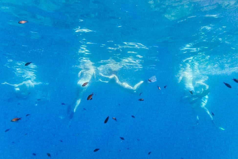 From Nice: French Riviera Swimming and Snorkeling Cruise - Should you book this Nice swimming and snorkeling cruise?