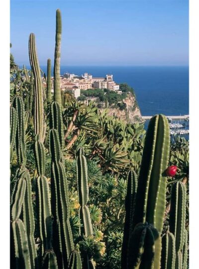 From Nice: Monaco, Monte Carlo & Eze Full-Day Tour - Eze: medieval stone lanes and the Fragonard perfume stop