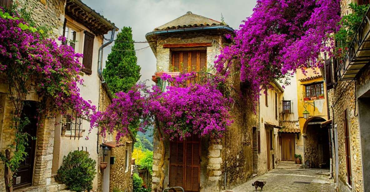 From Nice: Provence and its Medieval Villages Full-Day Tour - Grasse First: why starting in the perfume capital works