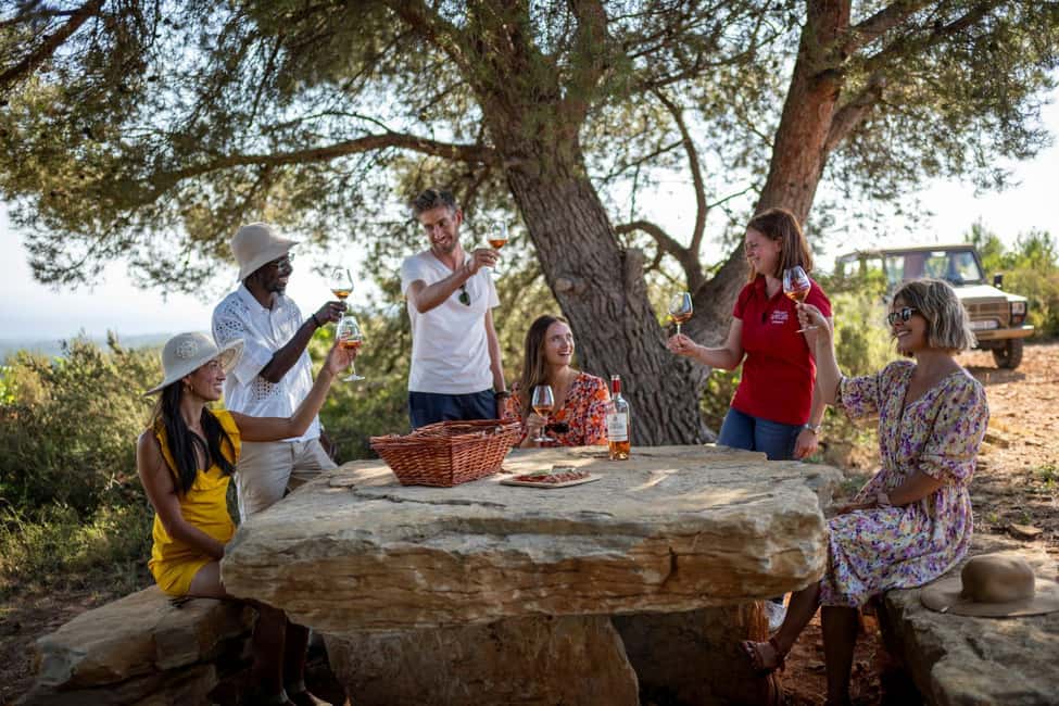 From Nice: Provence Wine Full-Day Tour - Key points you’ll feel on the day