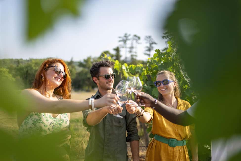 From Nice: Provence Wine Full-Day Tour - Stop 2: Four generations of family vines and terrace tastings