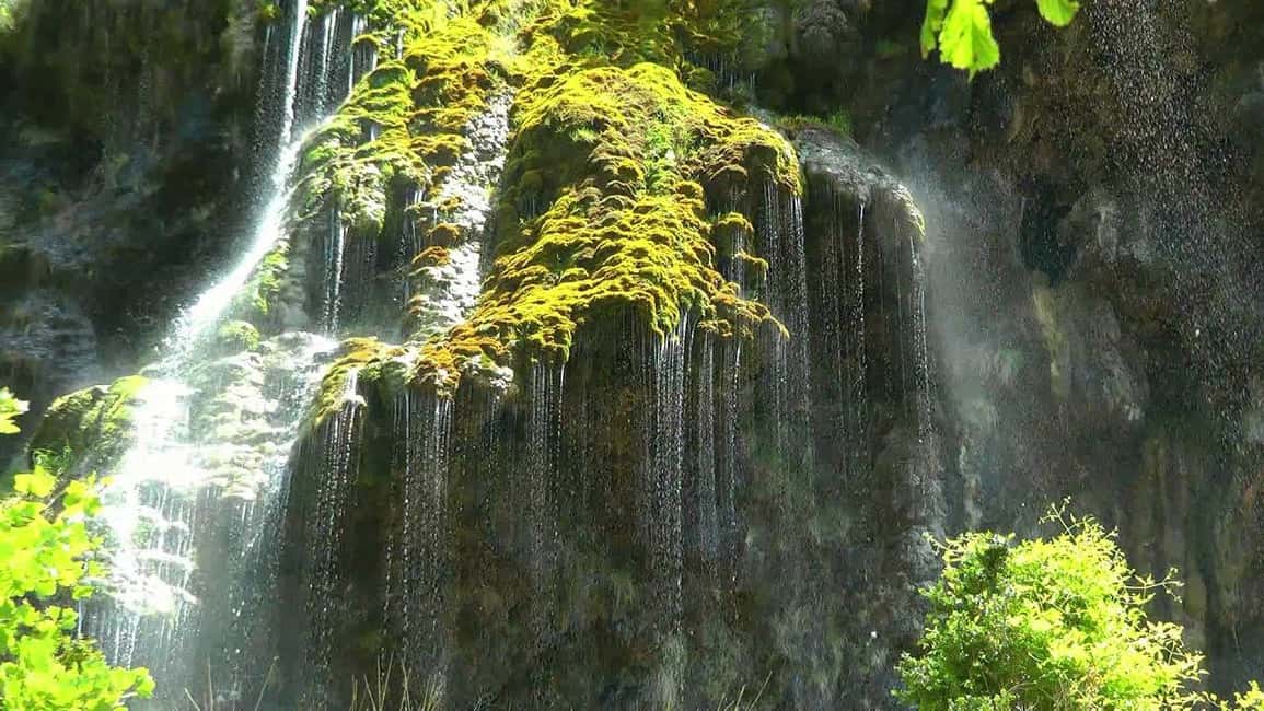 From Nice: Verdon Gorges & Lavender Fields Tour & Transport - Lake Sainte Croix: where the day finally breathes