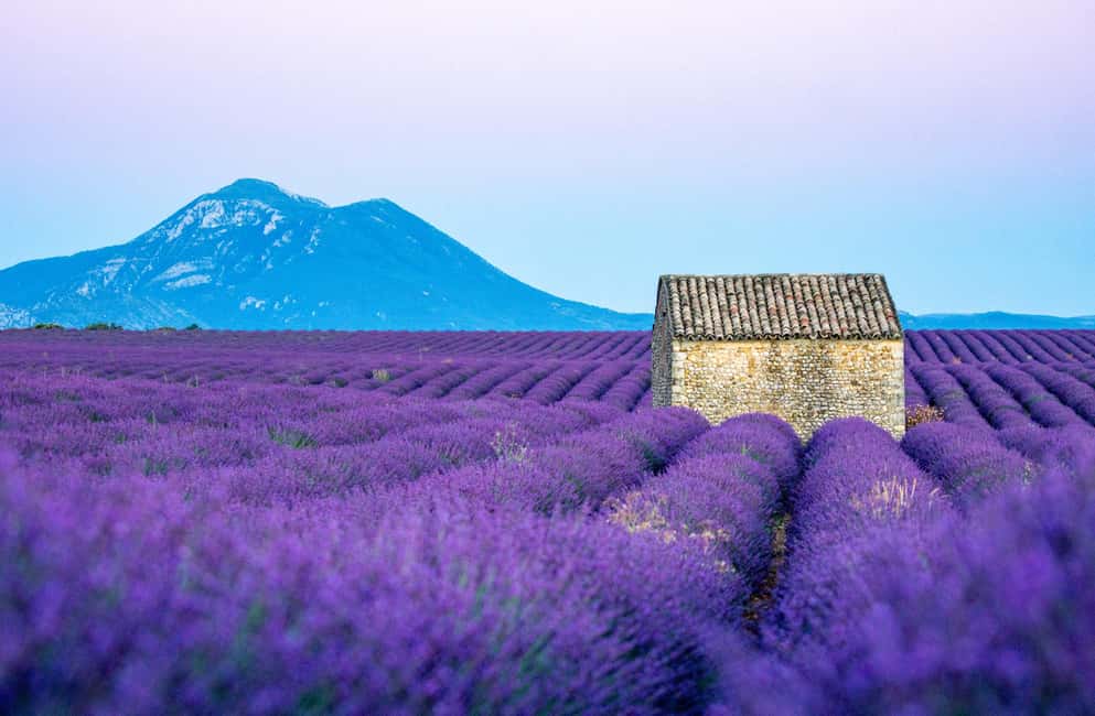 From Nice: Verdon Gorges & Lavender Fields Tour & Transport - Castellane coffee stop: a small town break with a purpose