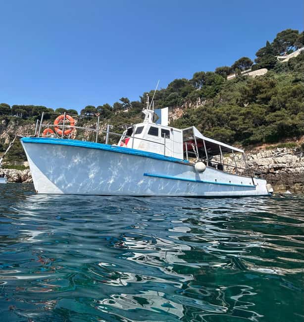 From Nice: Villefranche Bay Swimming & Snorkeling Boat Tour - Nice to the Riviera Views: The Cruise Segment You Shouldn’t Skip