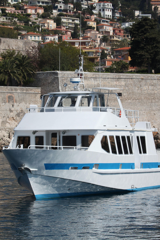 From Villefranche-sur-Mer: Guided Dolphin-Watching Tour - Weather and dolphin odds: how to set expectations the right way