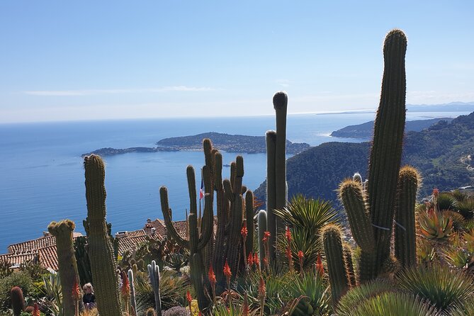 Full-Day Private Tour of Nice, Monaco and Eze Village with private guide - Nice old town on foot: markets, Nissart streets, and classic bites