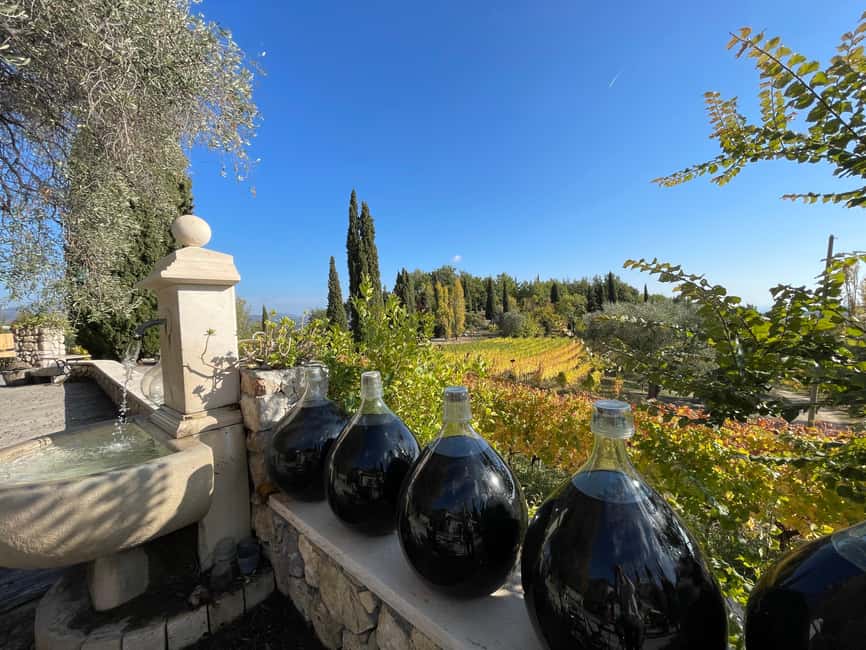 Full-Day Wine Tour in Bellet & Saint-Paul de Vence From Nice - Stop one in the Bellet vineyards: first tastings and the big picture on wine-making