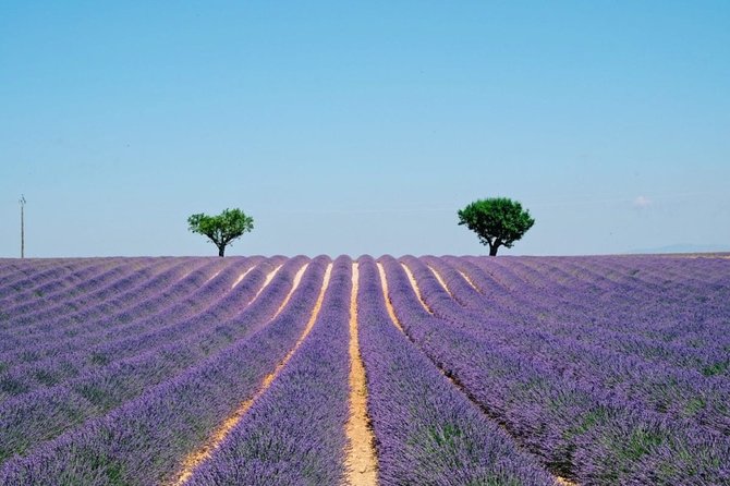 GUIDED TOUR: Lavender fields, the Gorges du Verdon - Getting Oriented with the Gorges du Loup and a 40-Meter Waterfall
