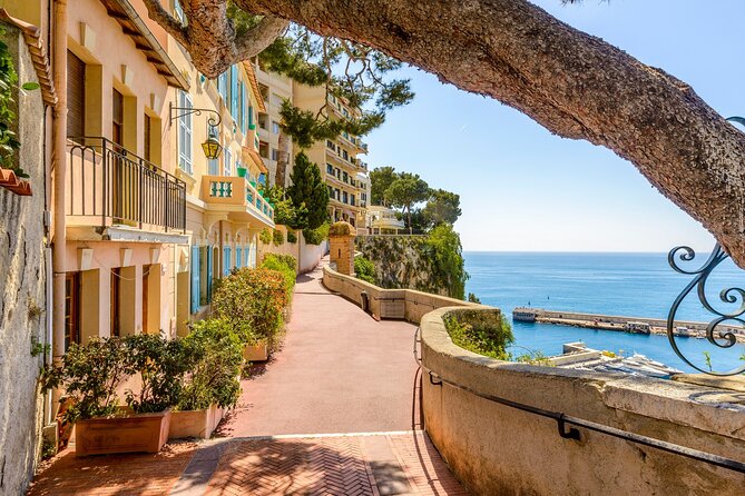 Italian Coast, French Riviera , Menton & Monaco Customizable Tour - Coast-to-coast vibes: what makes this private day work