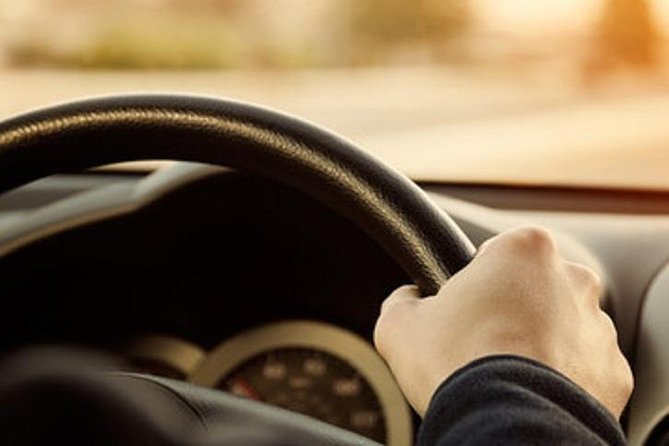 Nice Airport Private Arrival Transfer to Cannes, Monaco or Eze - Possible Downsides to Know Before You Go