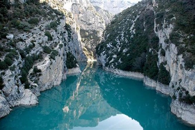 Nice: Gorges of Verdon and Fields of Lavender Tour - Lavender fields and the Alps: the photo plan, the smell plan, and the timing reality