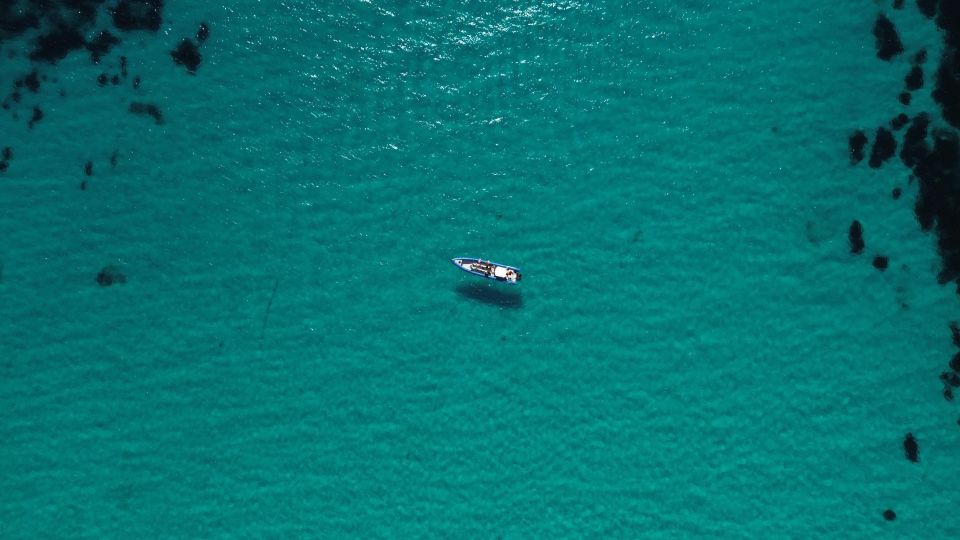 Nice: Lerins Islands Boat Tour with Snorkeling - Lérins Islands by speedboat: the fast route to big-water fun