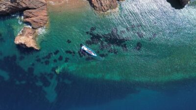 Nice: Lerins Islands Boat Tour with Snorkeling - Snorkeling at the underwater ecomuseum with live guidance