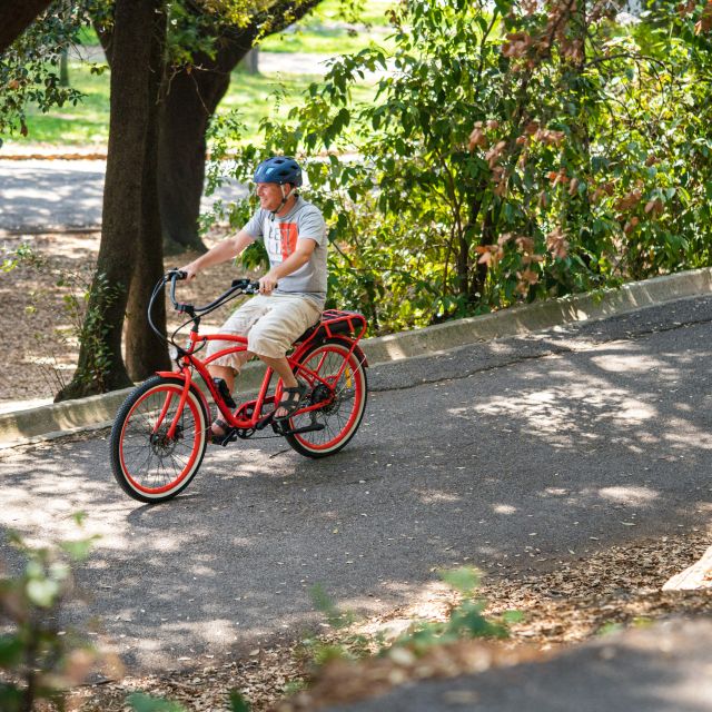 Nice: Panoramic French Riviera E-Bike Tour - Mont Boron Park to Fort Mont Alban: The Panorama Payoff