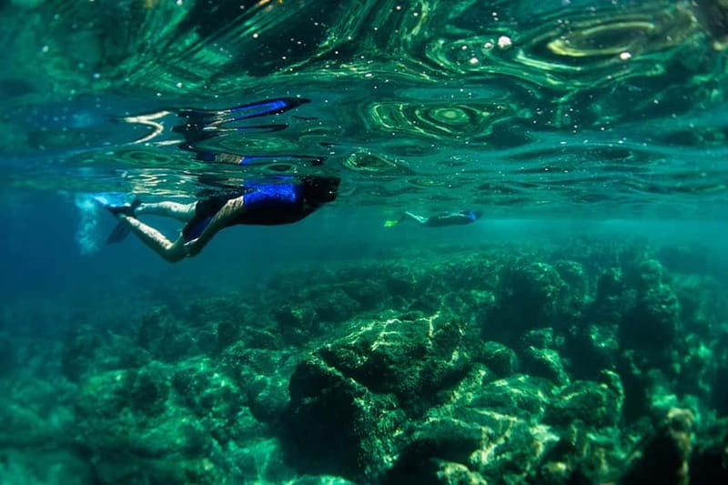 Nice: Snorkeling Speedboat Tour in Villefranche Bay - Key things I’d plan for