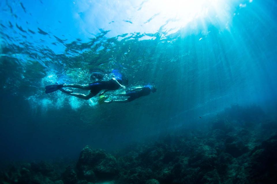 Nice: Snorkeling Speedboat Tour in Villefranche Bay - Small practical tips that make a difference