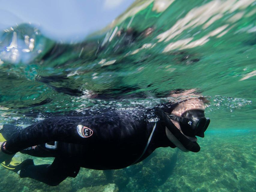 Nice: Snorkeling Speedboat Tour in Villefranche Bay - Who this tour fits best (and who should skip it)