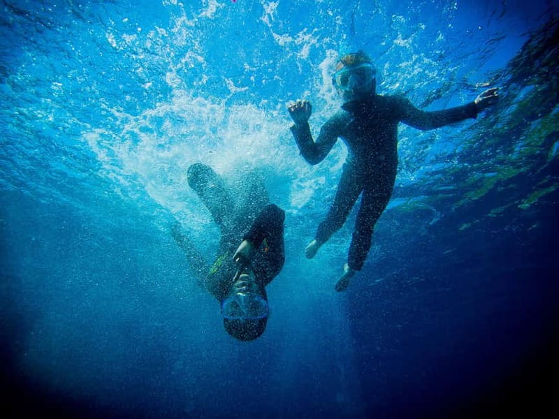 Nice: Snorkeling Speedboat Tour in Villefranche Bay - Price and value at $68: What you’re really paying for