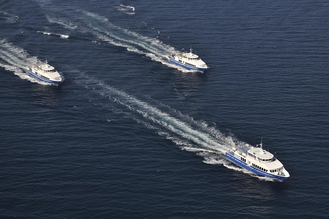 Nice to St Tropez Ferry Ticket and Cruise - Your St Tropez Day: The Town Is Yours to Run