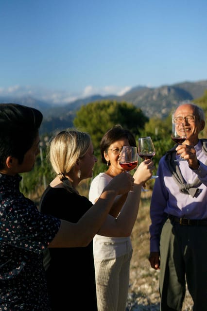 Nice: Vineyard Tour with Wine Tasting - Key highlights worth your attention