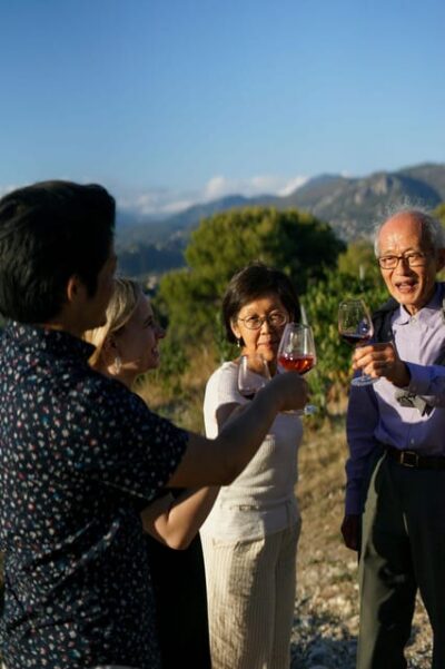 Nice: Vineyard Tour with Wine Tasting - Getting there from Nice: transfer vs Bus #62 vs taxi