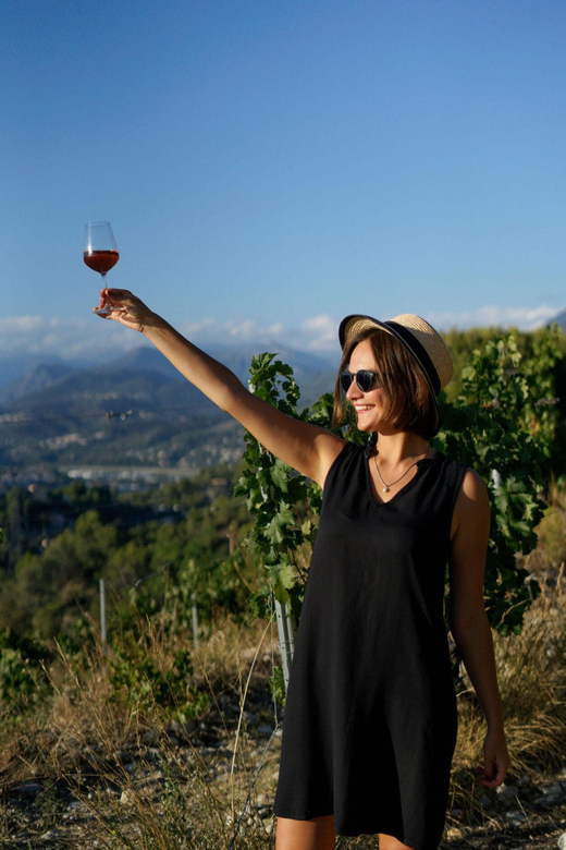Nice: Vineyard Tour with Wine Tasting - Price and value: is $38 for 90 minutes a fair deal?