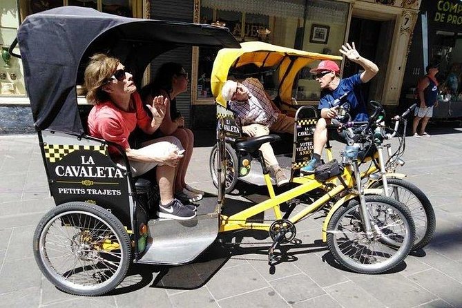 Original Nice city tour ( pedicab-vélo taxi) - Who Should Book This Pedicab Tour (and Who Might Prefer Something Else)