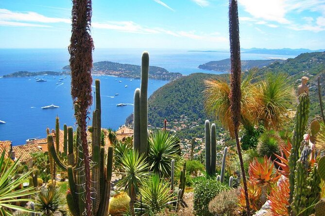 Private Customized French Riviera Tour from Port Villefranche 8H - Why this Villefranche-to-Monaco route works for one-day planning