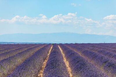 Private Tour of Gorges of Verdon and Fields of Lavender in Nice - Moustiers-Sainte-Marie: Ceramics, Cliffs, and Wandering Time