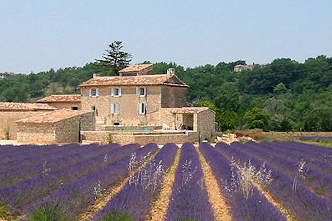 Provence and Lavender - private & Guided Full Day Tour - Key Highlights You’ll Actually Feel
