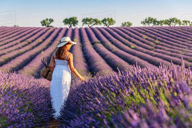 Provence and Lavender - private & Guided Full Day Tour - A Provence Day That Fits Real Schedules (Not Just Postcards)