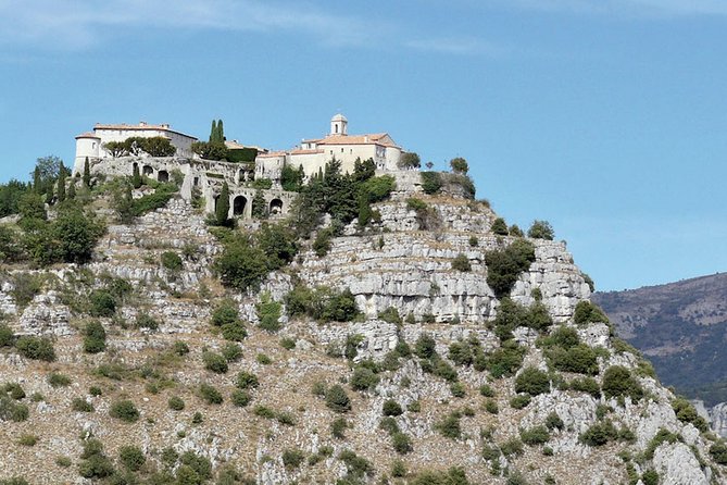 Provence and Lavender - private & Guided Full Day Tour - Who This Tour Suits Best (And Who Might Want Another Option)