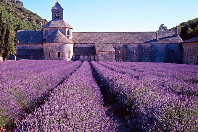 Provence Sea & Countryside Full-Day Private Tour - Picasso at Musée Picasso in Antibes: A Smart First Choice for Art Lovers