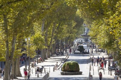 Provence, Vineyards and Lavender Fields Private Day Trip - Saint-Maximin-la-Sainte-Baume: a village with two personalities