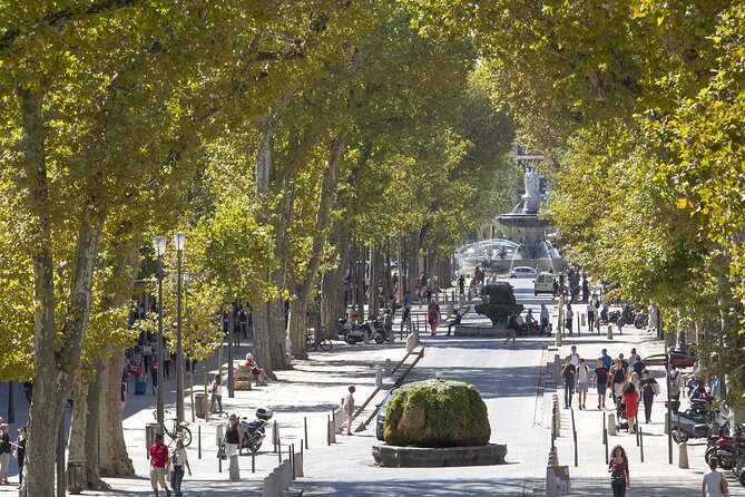 Provence, Vineyards and Lavender Fields Private Day Trip - Saint-Maximin-la-Sainte-Baume: a village with two personalities