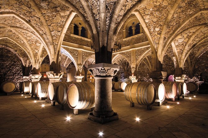 Provence Wine Tour - Private Day Tour from Cannes - From Cannes to Provence: Why the Transfer Setup Matters