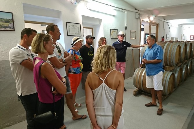 Provence Wine Tour - Private Day Tour from Nice - Lunch in Provence: What’s Included, What Isn’t, and How to Plan