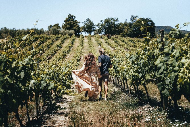 Provence Wine Tour - Small Group Tour from Cannes - Stop 3: Domaine des Féraud and Medal-Winning Organic Wines